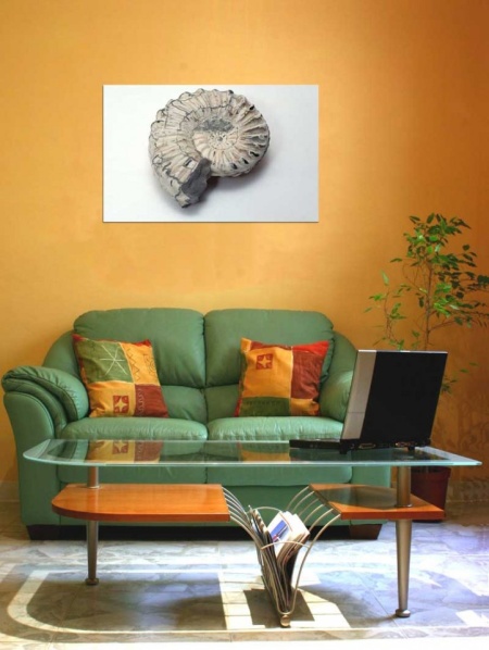 Tablou Canvas Scoica