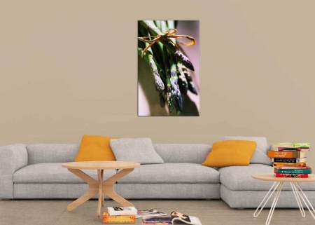 Tablou Canvas Sparanghel