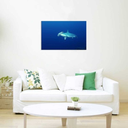 Tablou Canvas Subacvatic