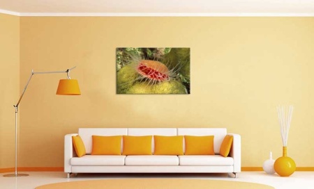 Tablou Canvas Subacvatic