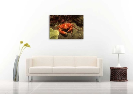 Tablou Canvas Subacvatic