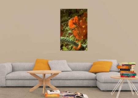 Tablou Canvas Subacvatic