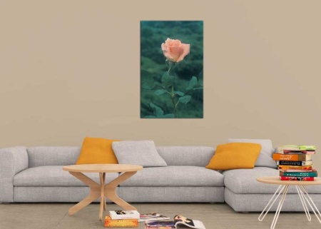 Tablou Canvas Trandafir Roz