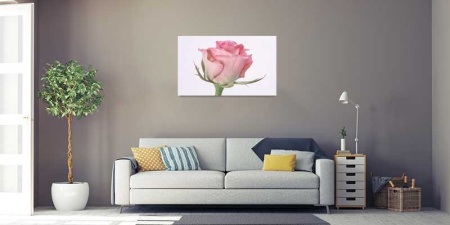 Tablou Canvas Trandafir