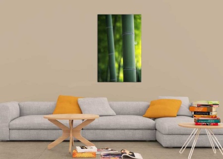 Tablou Canvas Bambus