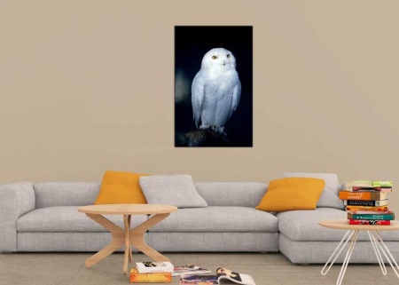 Tablou Canvas Bufnita Alba