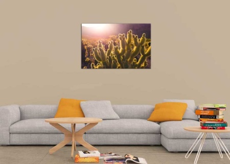 Tablou Canvas Cactus