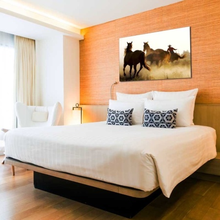 Tablou Canvas Cai