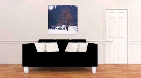 Tablou Canvas Copac iarna
