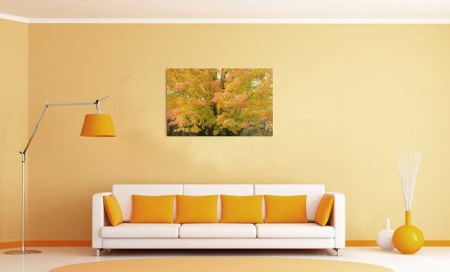 Tablou Canvas Copaci cu frunze galbene