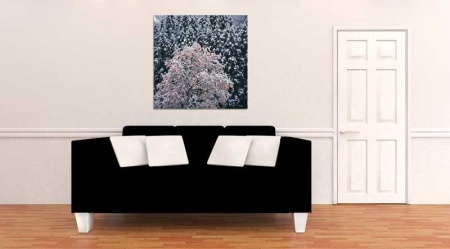 Tablou Canvas Copaci Inghetati