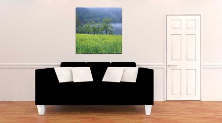 Tablou Canvas Copaci primavara