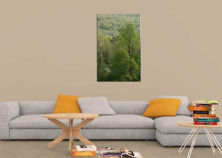 Tablou Canvas Copaci
