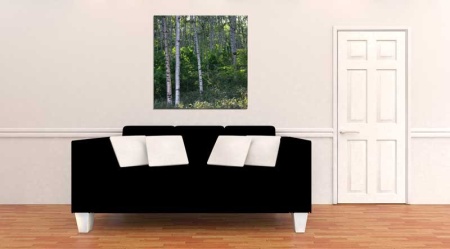 Tablou Canvas Copaci