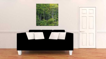Tablou Canvas Copaci