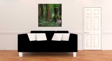 Tablou Canvas Copaci