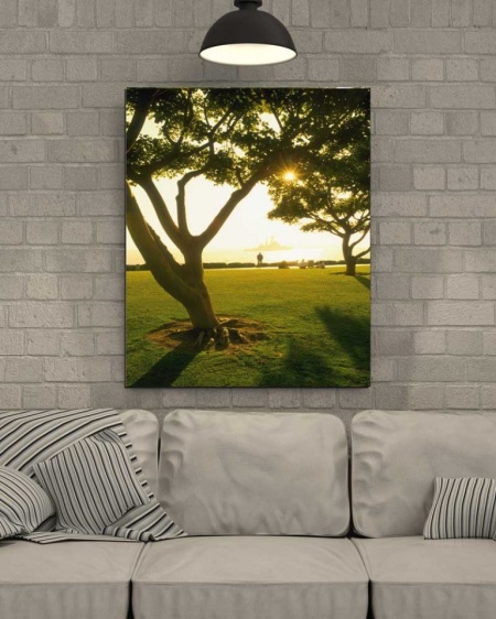 Tablou Canvas Copaci