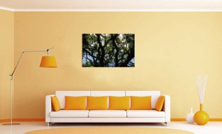 Tablou Canvas Copaci