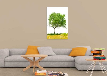 Tablou Canvas Copac