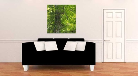Tablou Canvas Copac