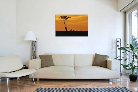 Tablou Canvas Elefanti