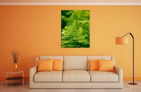 Tablou Canvas Feriga