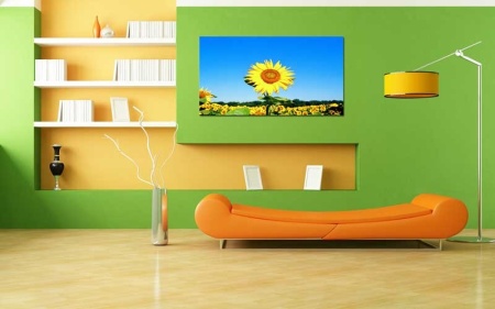 Tablou Canvas Floarea-Soarelui