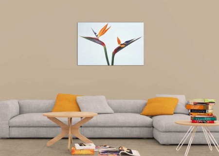 Tablou Canvas Floare