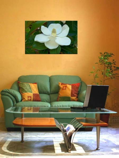 Tablou Canvas Floare