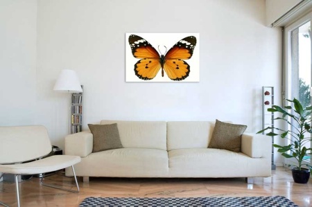Tablou Canvas Fluturas