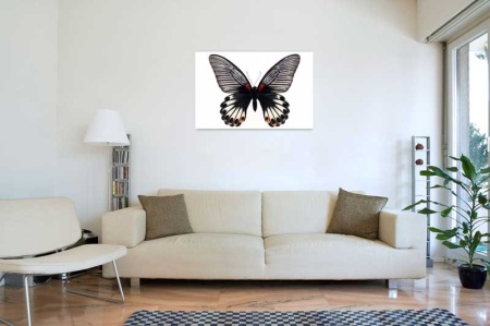 Tablou Canvas Fluturas