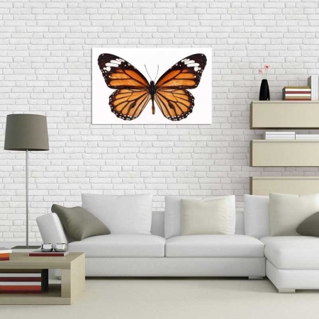 Tablou Canvas Fluturas