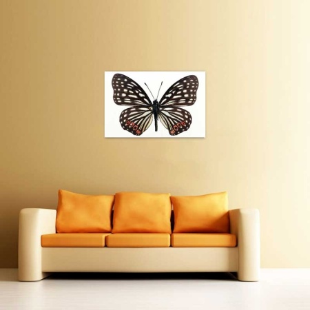 Tablou Canvas Fluturas