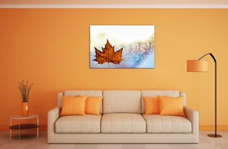 Tablou Canvas Frunza de Toamna