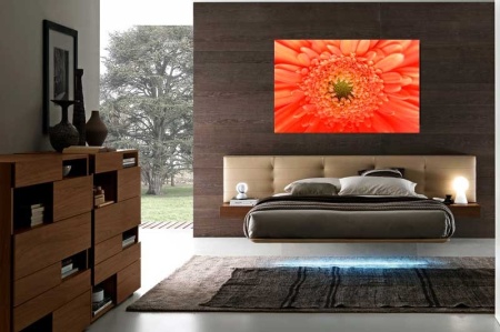 Tablou Canvas gerbera