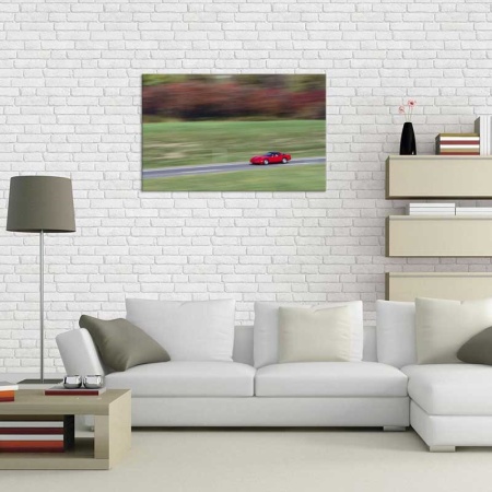 Tablou Canvas Masina Rosie