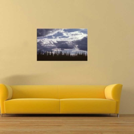 Tablou Canvas Nori