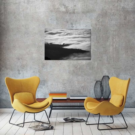 Tablou Canvas Padure Alb-Negru