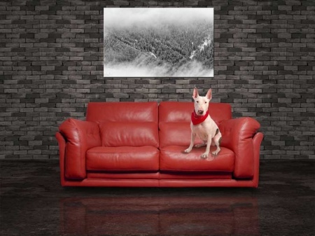 Tablou Canvas Padure de Brazi cu Zapada