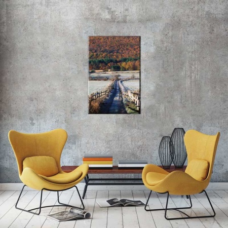 Tablou Canvas Padure