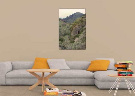 Tablou Canvas Padure