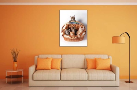 Tablou Canvas Pisoi