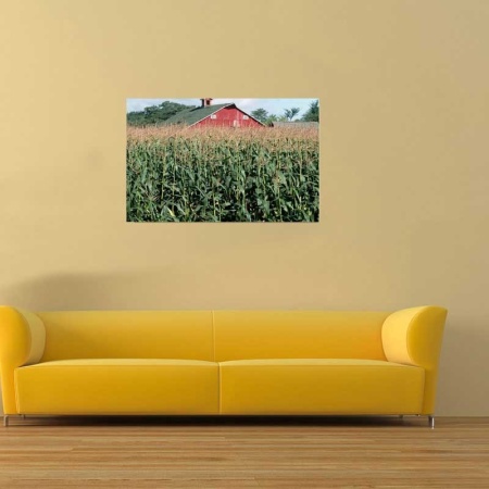 Tablou Canvas Porumb