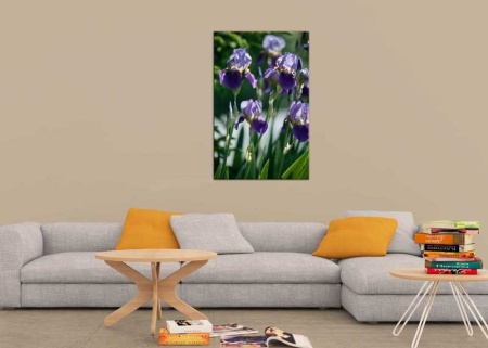 Tablou Canvas Primavara