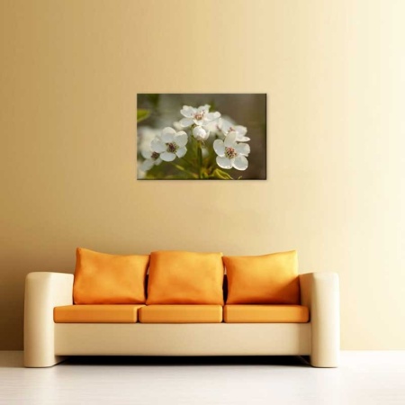 Tablou Canvas Primavara