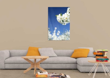Tablou Canvas Primavara