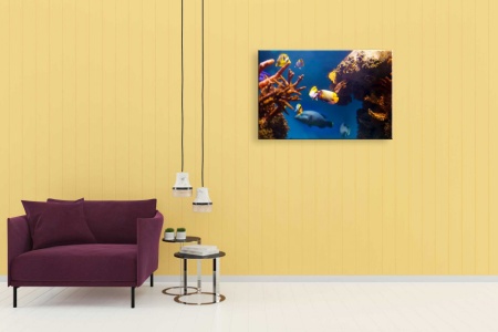 Tablou Canvas ri underwater - viata acvatic