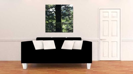 Tablou Canvas Trunchi de Copac