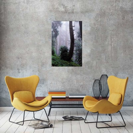 Tablou Canvas Trunchi de Copac