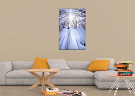 Tablou Canvas Turturi de Gheata